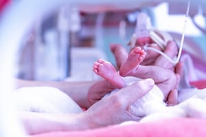 1779216265-adobestock341576969-lg (1)