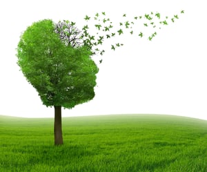 Brain disease with memory loss due to Dementia and Alzheimers illness as medical icon of a tree shaped as human head and brain losing leaves as concept of intelligence decline.-1