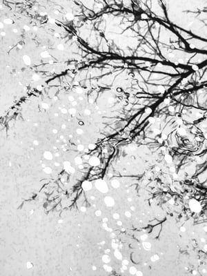 Winter at a glance Painterly illustration of bare tree reflected by icy surface of stream with frozen bubbles, in black and white