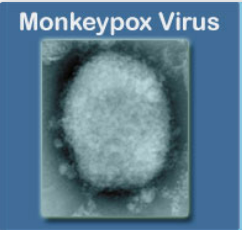 cdc.monkeypox