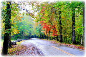 parkway.autumn.gg