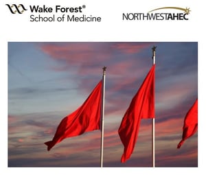 Cues Clues And Other Red Flags When Intimate Partner Violence Is More Than Black And Blue Cues Clues And Other Red Flags When Intimate Partner Violence Is More Than Black And Blue