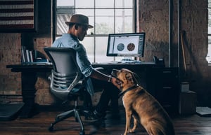 young man and dog at computer