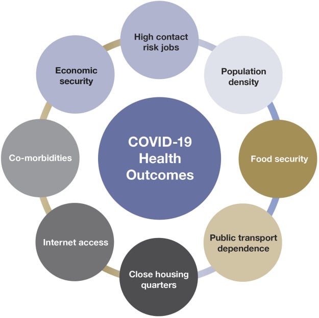 Addressing the Social Determinants of Health During the COVID-19 ...
